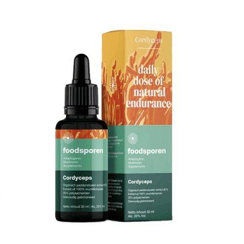 Foodsporen Cordyceps extract