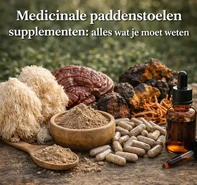 paddenstoelen supplemengen
