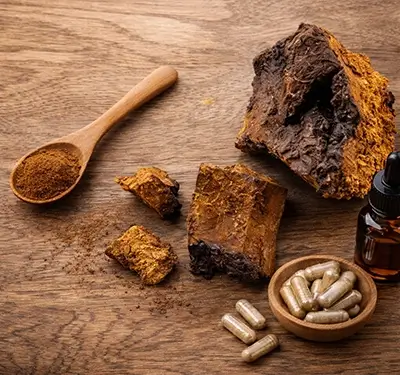 mushroom paddenstoel