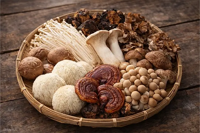 Misvattingen over paddenstoelen supplementen