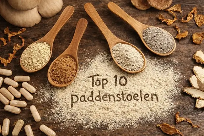 Top 10 paddenstoelen