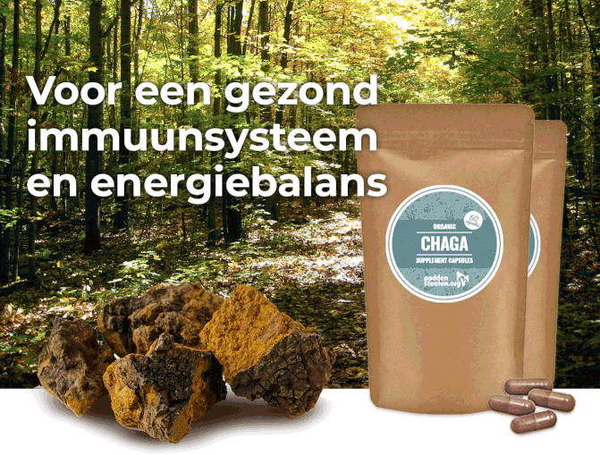 Banner-Paddenstoelen
