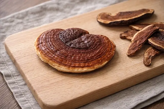 Waar let je op bij het kiezen van een Reishi supplement?