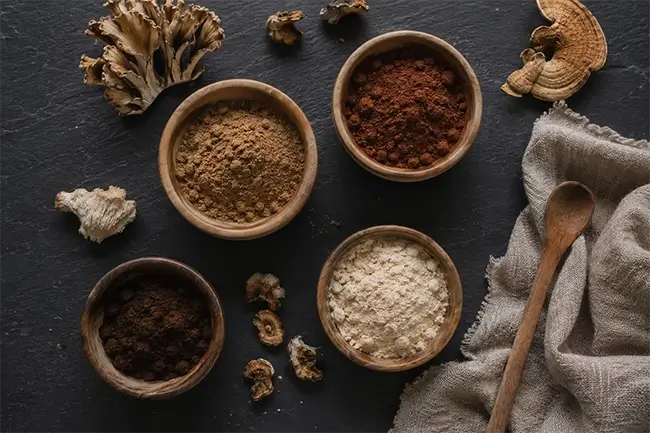 Maitake poeder gecombineerd met reishi, lion's mane en chaga paddenstoelen