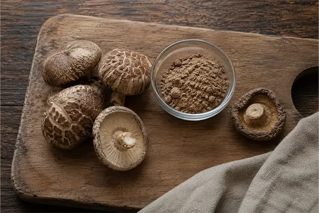 shiitake poeder gemaakt van gedroogde Japanse paddenstoelen